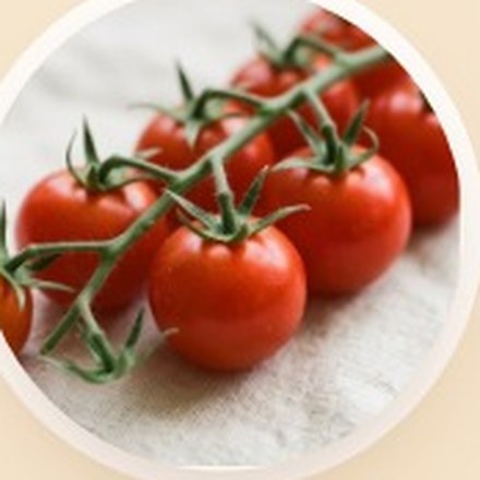 Licopeno: polvo de carotenoide rojo obtenido del tomate